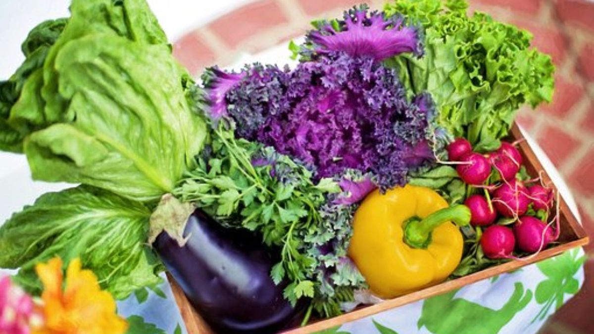 Gemüse für basische Ernährung